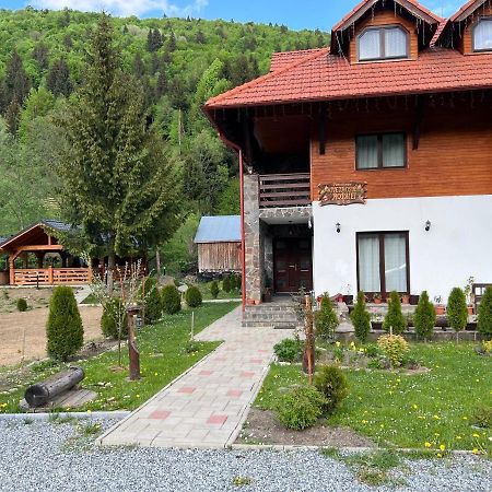 Pensiunea Pietrosul Rodnei Moisei Dış mekan fotoğraf