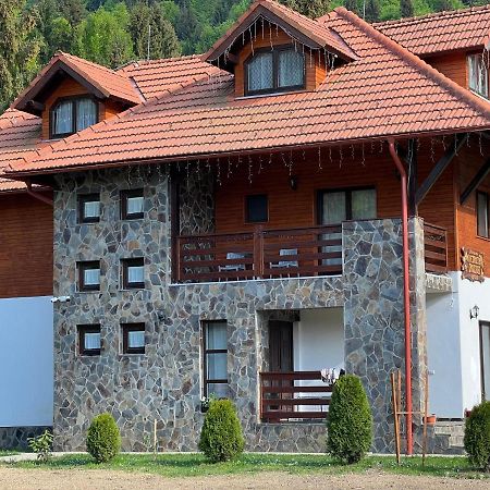 Pensiunea Pietrosul Rodnei Moisei Dış mekan fotoğraf