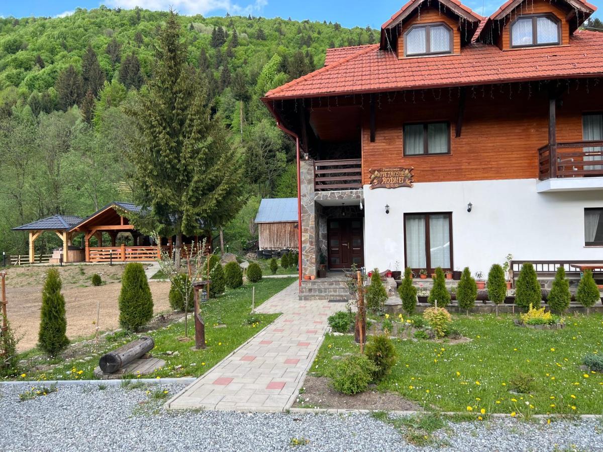 Pensiunea Pietrosul Rodnei Moisei Dış mekan fotoğraf