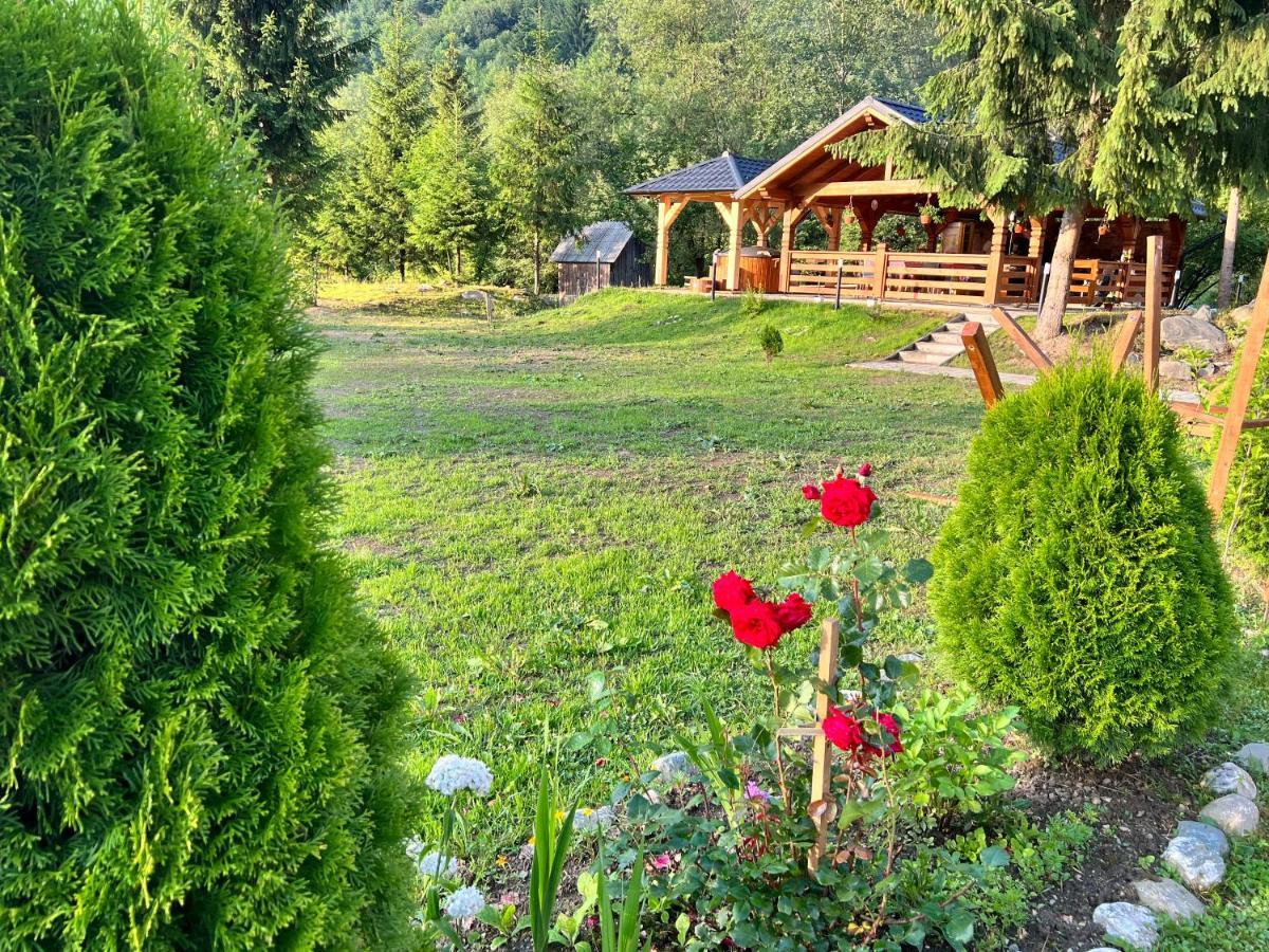 Pensiunea Pietrosul Rodnei Moisei Dış mekan fotoğraf