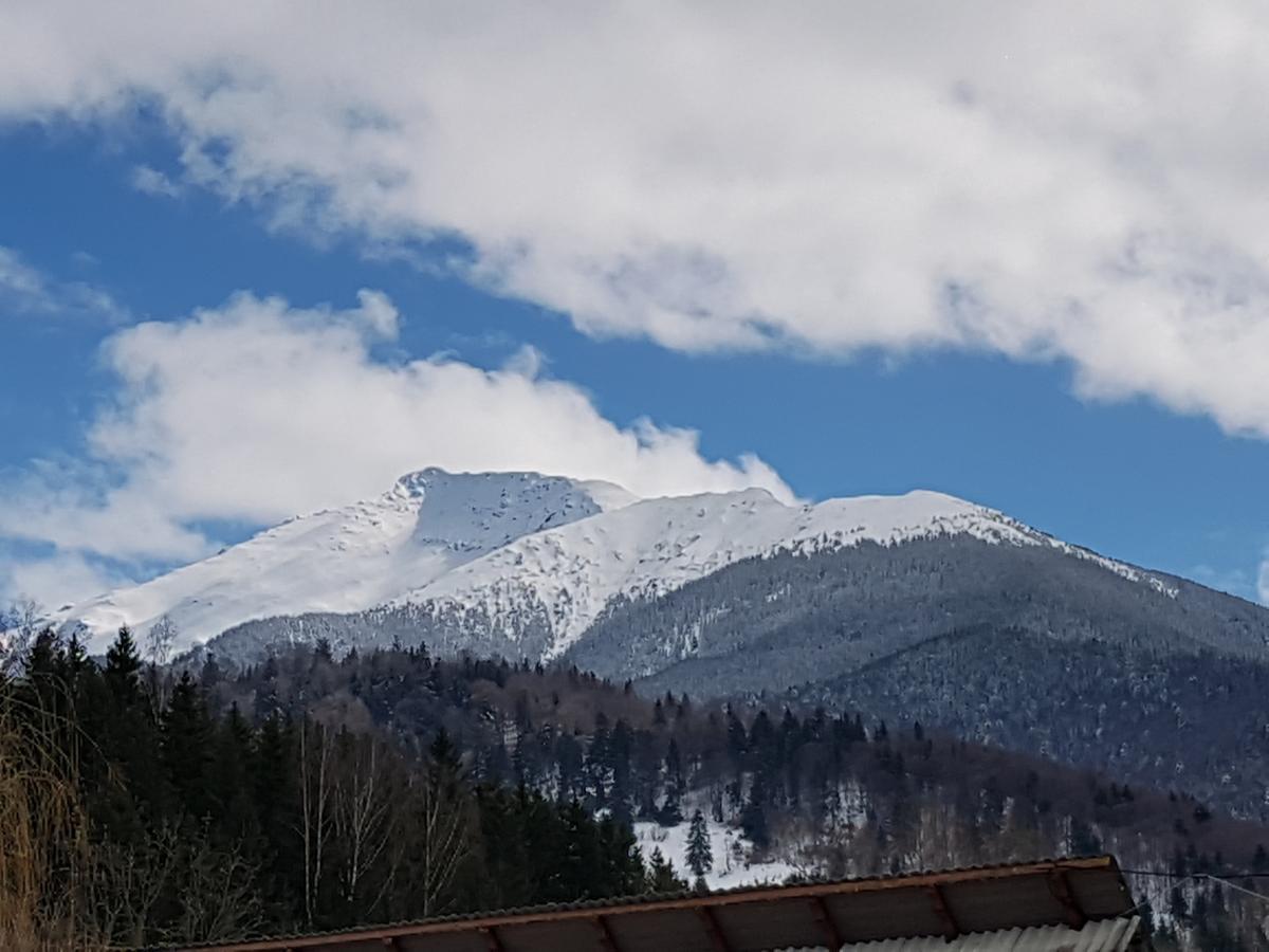 Pensiunea Pietrosul Rodnei Moisei Dış mekan fotoğraf