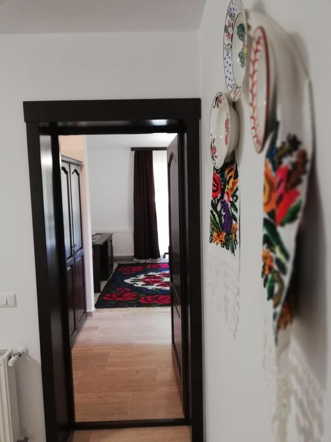 Pensiunea Pietrosul Rodnei Moisei Dış mekan fotoğraf