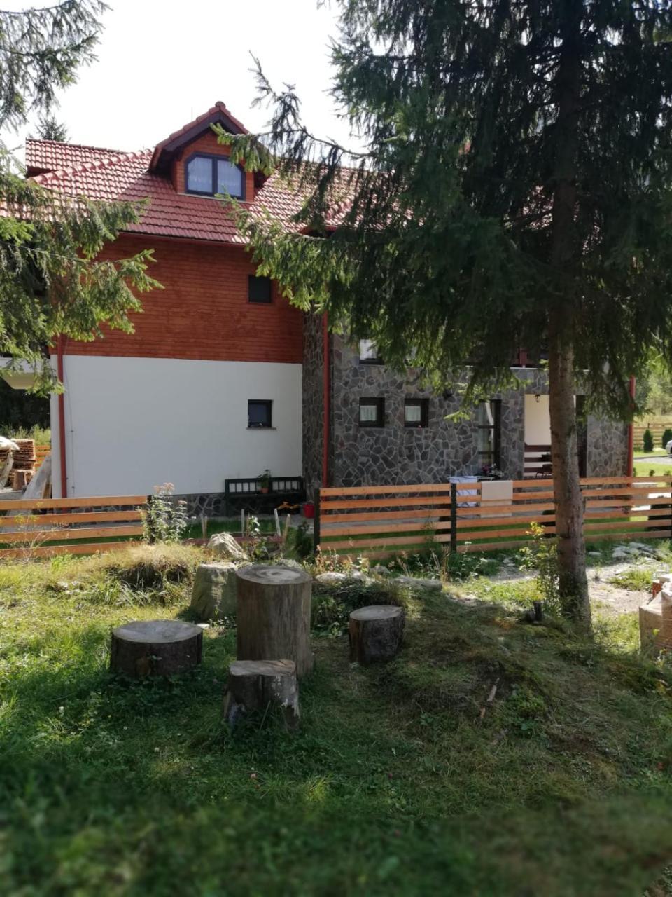 Pensiunea Pietrosul Rodnei Moisei Dış mekan fotoğraf